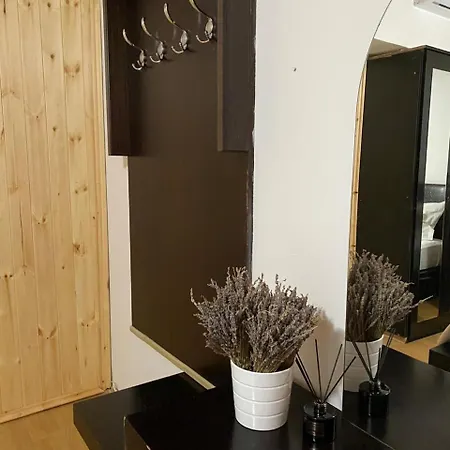 Bertis Guest house *